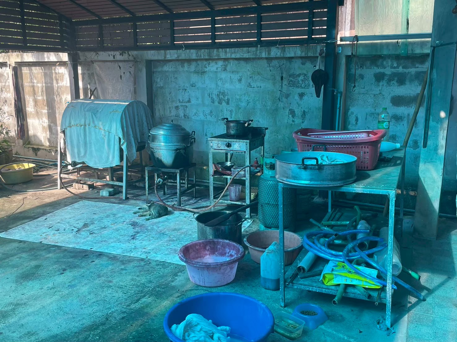 รูปภาพ 16