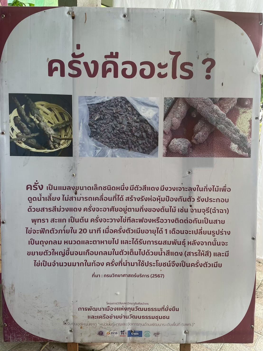 รูปภาพ 6