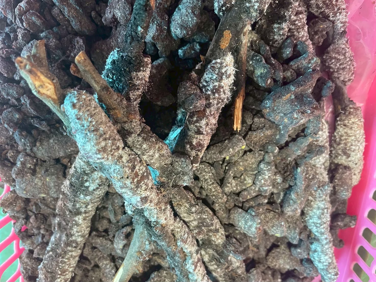 รูปภาพ 9