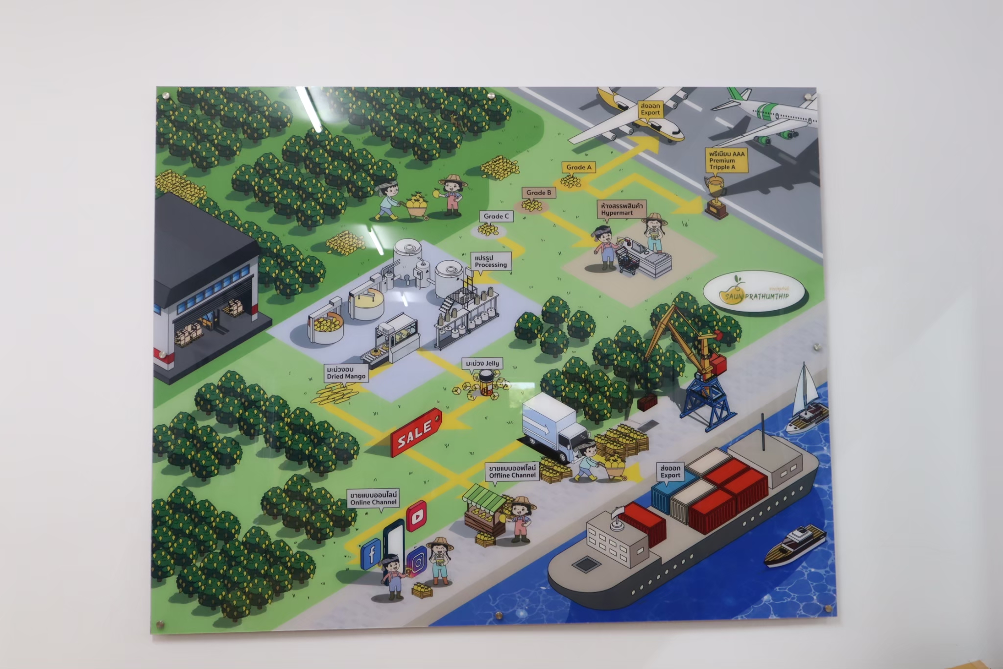 รูปภาพ 12