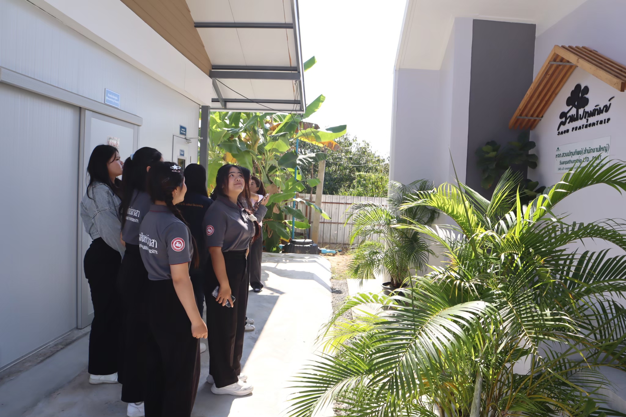 รูปภาพ 14