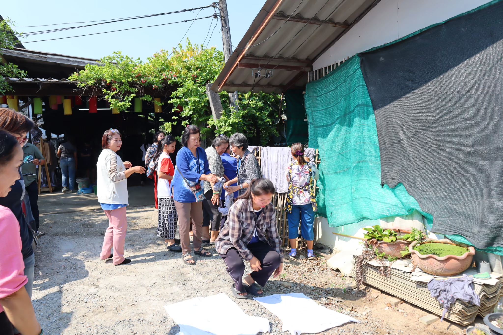 รูปภาพ 12