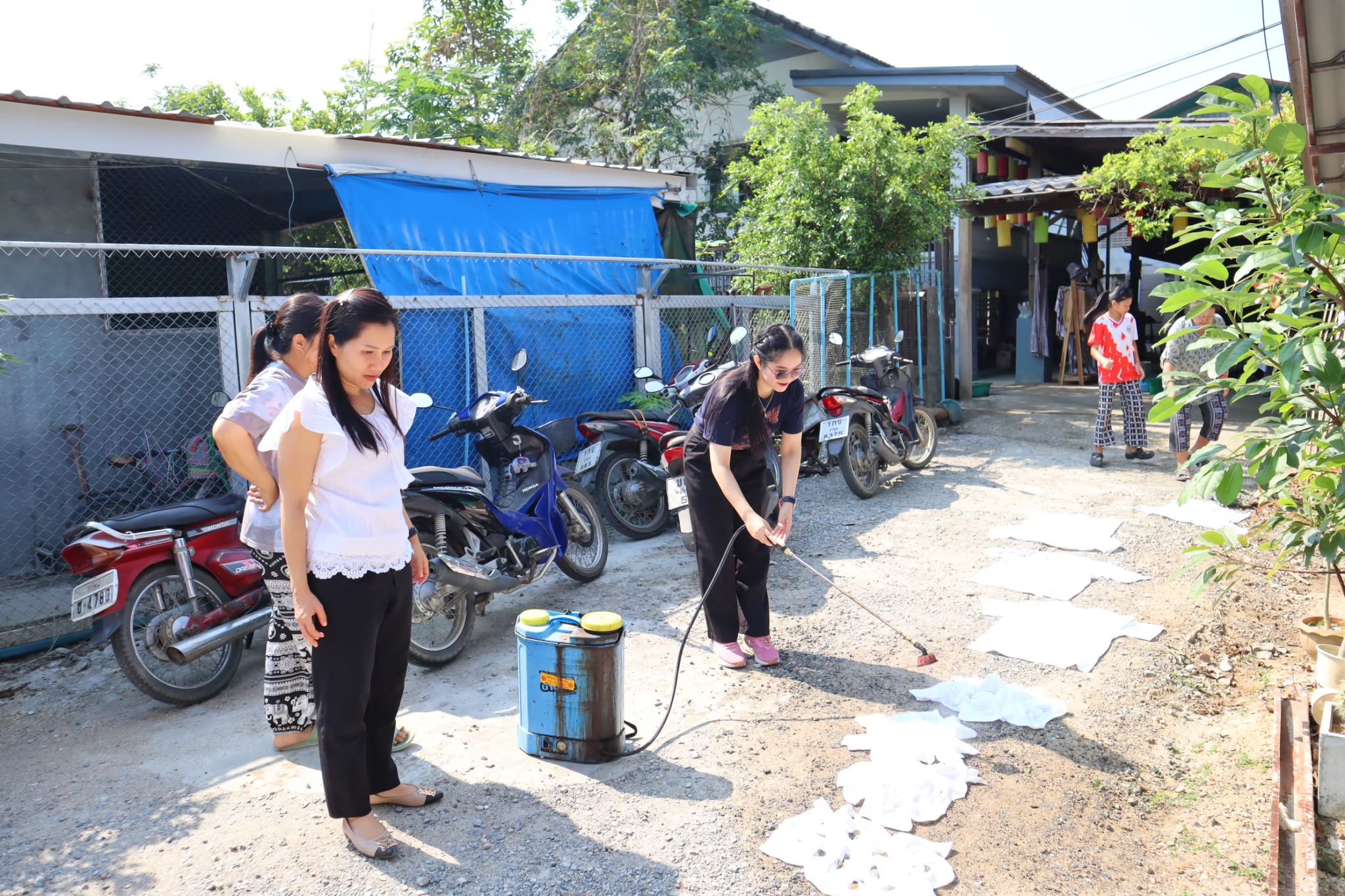 รูปภาพ 13